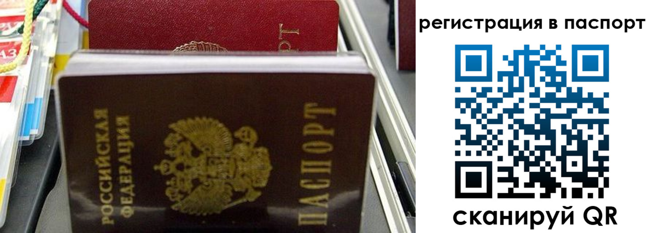 прописка для школы в Избербаше
